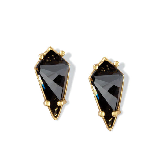 Black Knight Earrings