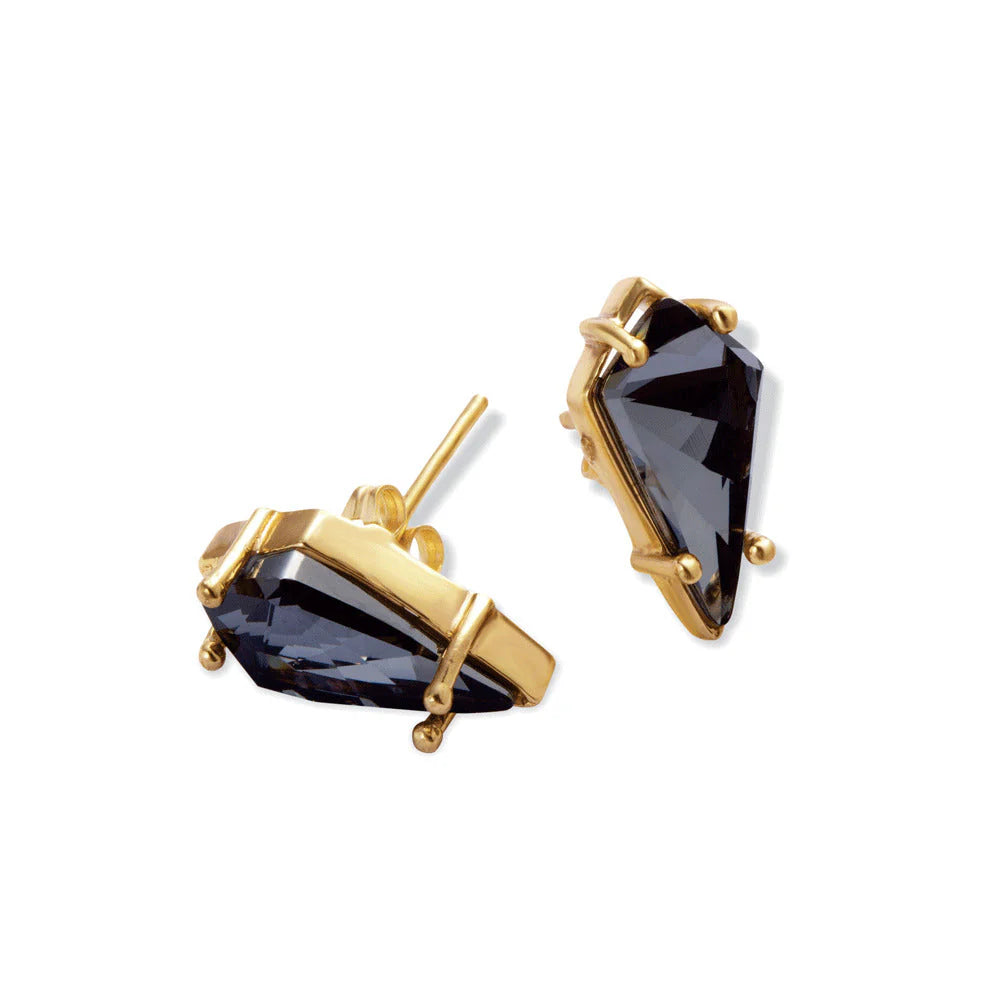 Black Knight Earrings
