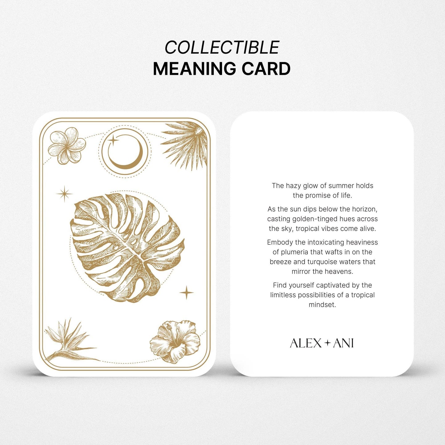 Hibiscus Drop Earrings