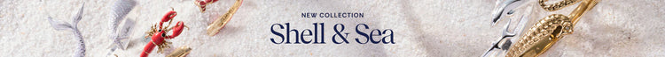 Sea & Shell