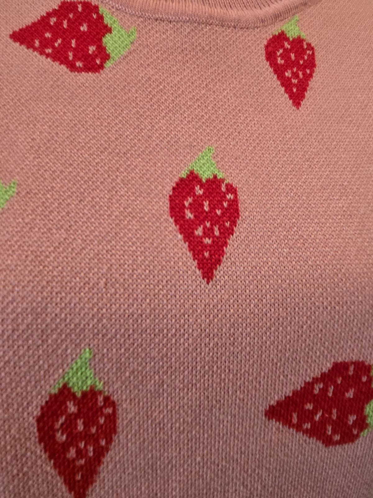 SHEIN Strawberry Print Knit Sweater – Women's Large – Never Worn