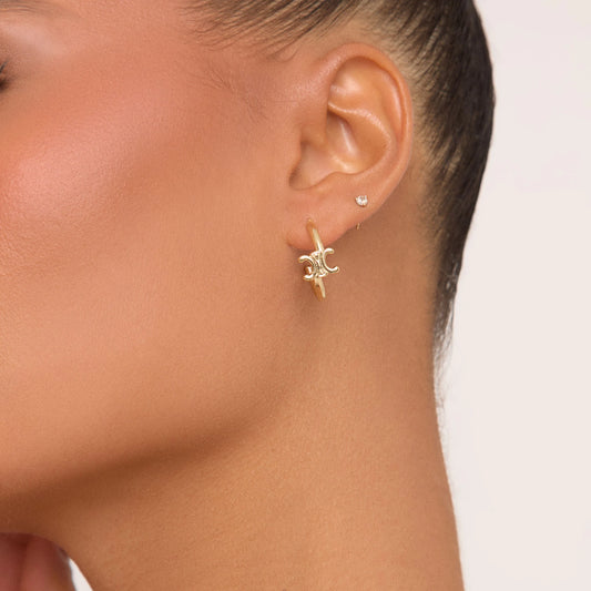 Small Hoop Earrings In Gold