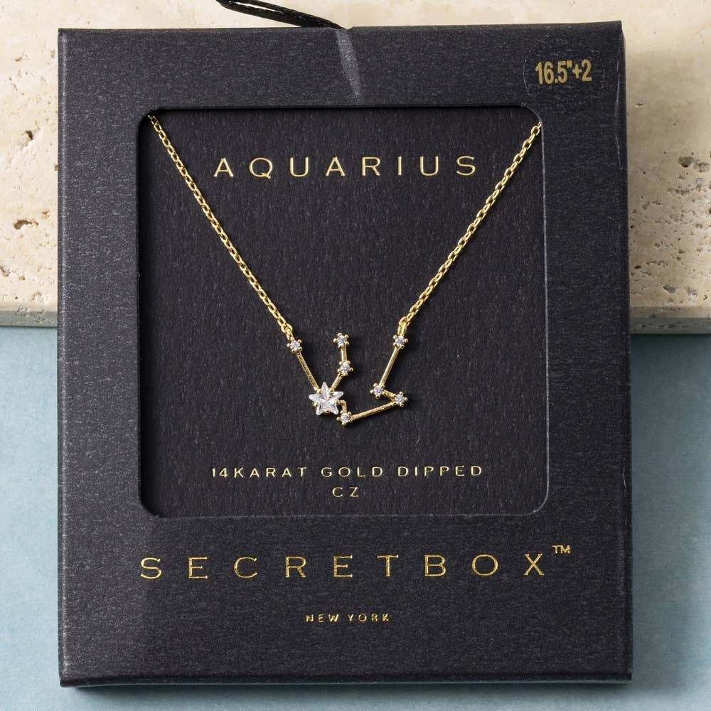14K Gold Dipped Aquarius Constellation Necklace