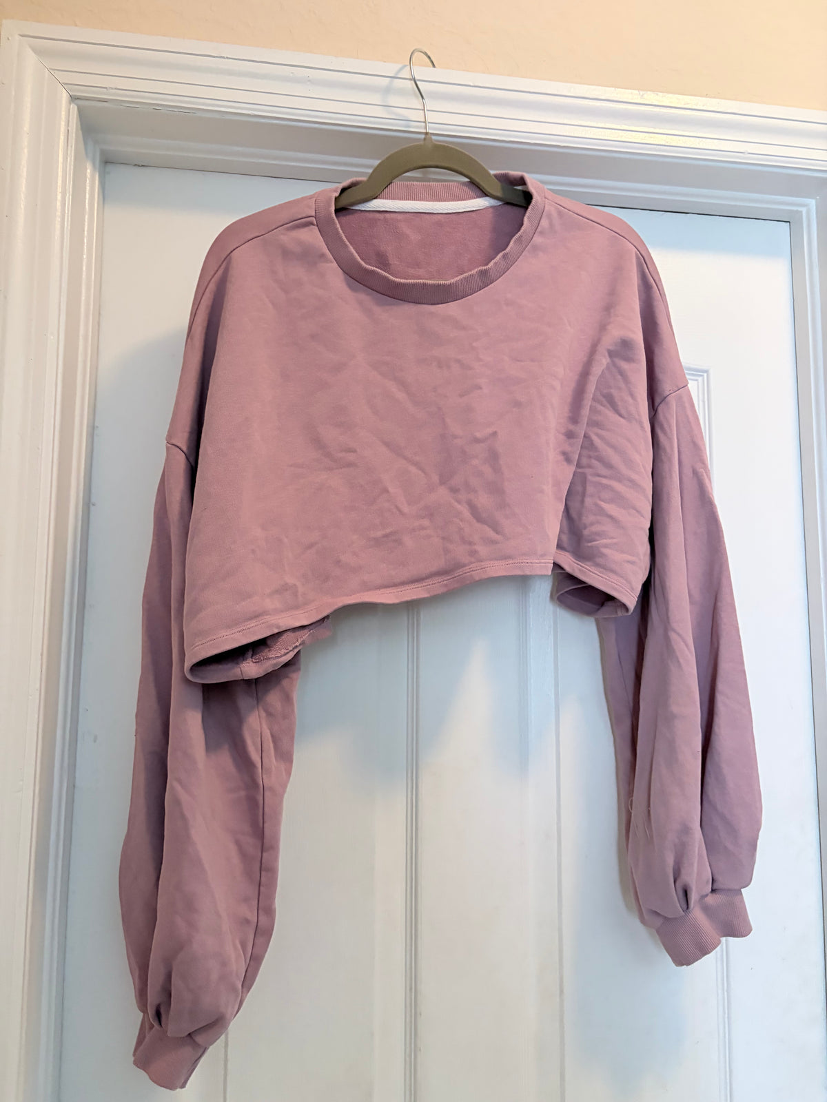 Mauve Cropped Sweatshirt & Sports Bra 2-Piece Set Size XL