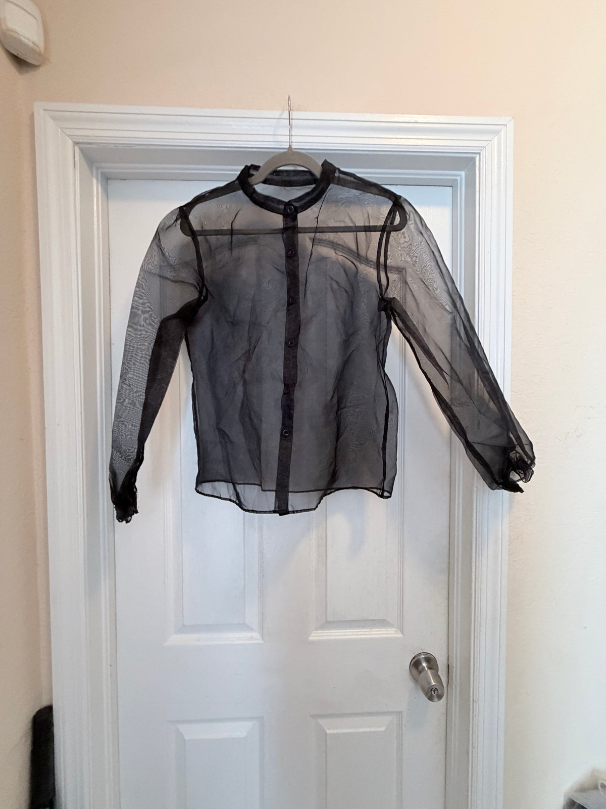 Black Sheer Organza Long Sleeve Button Up Blouse