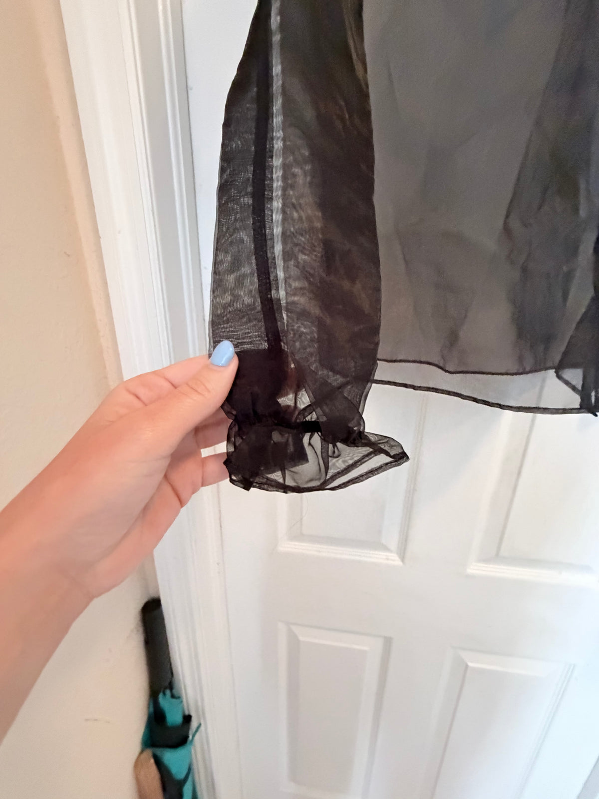 Black Sheer Organza Long Sleeve Button Up Blouse