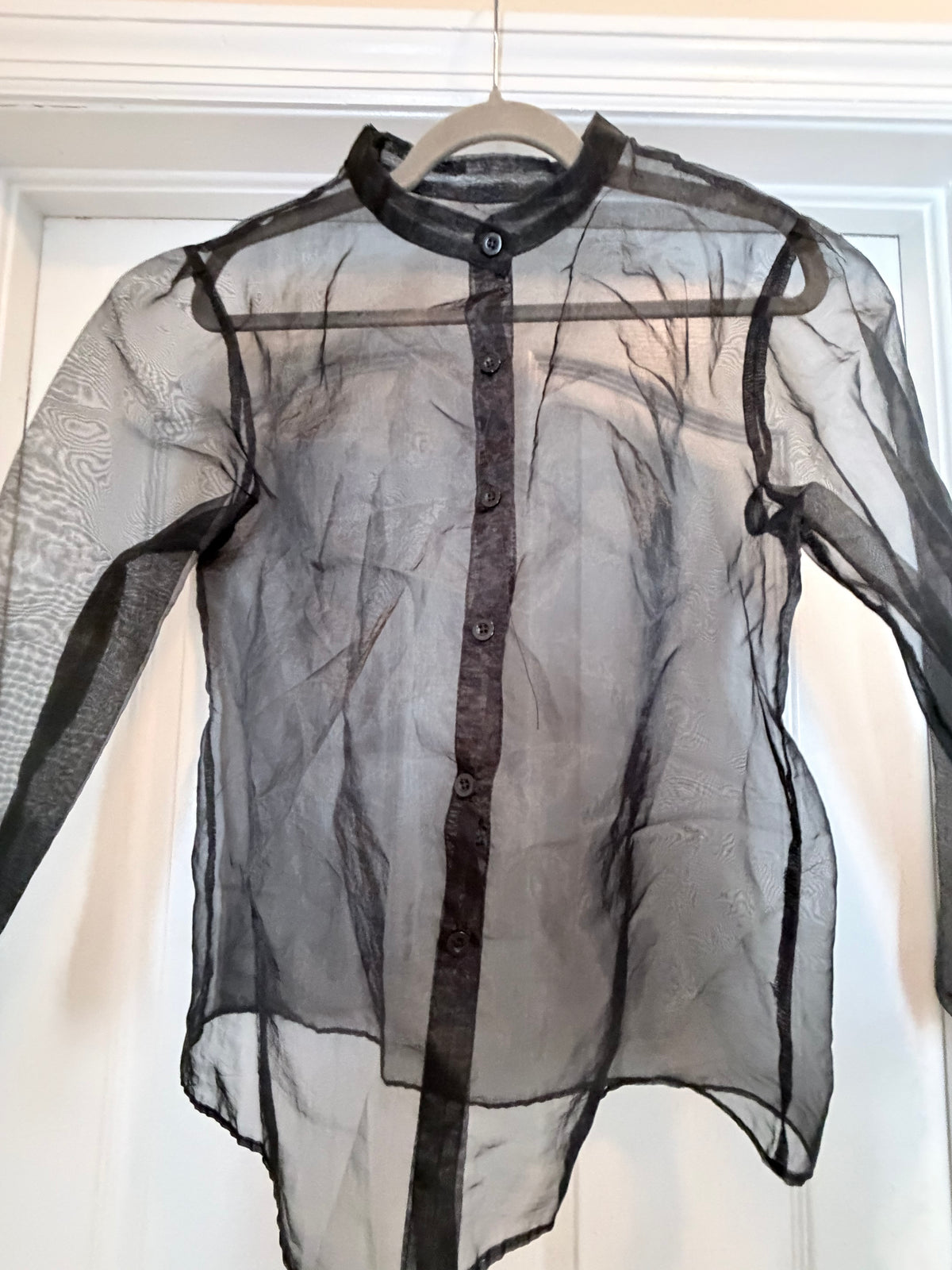 Black Sheer Organza Long Sleeve Button Up Blouse