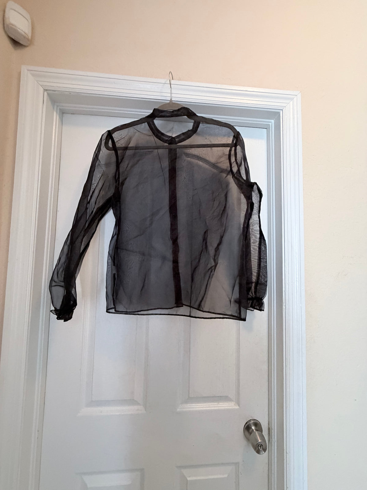 Black Sheer Organza Long Sleeve Button Up Blouse